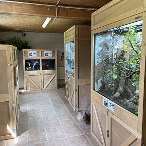 Ectotherms room