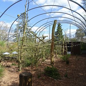 South american aviary