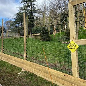 Spider Monkey Enclosure, updated fencing, Dudley, UK