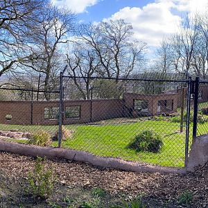 New Painted / African Hunting Dog enclosure under construction - left side (pano), Dudley, UK