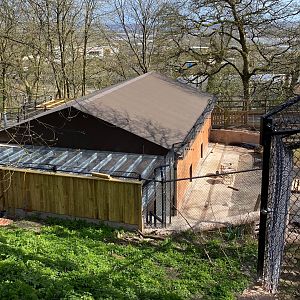 New Painted / African Hunting Dog enclosure under construction, Housing, Dudley, UK
