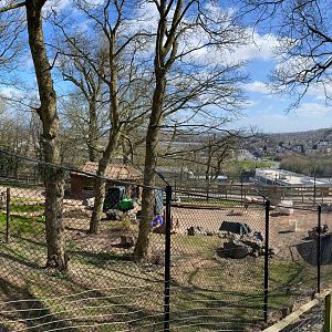 New Painted / African Hunting Dog enclosure under construction, right side from the chairlift end (pano), Dudley, UK