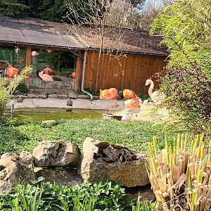 Flamingo Enclosure