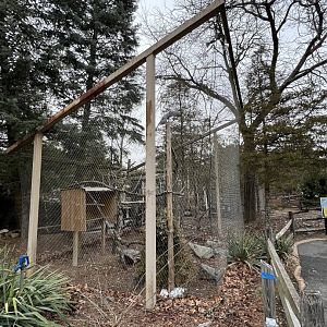 Peregrine Falcon Exhibit