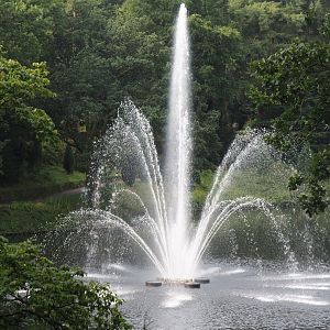 Park Berg & Bos (City and nature park in which Apenheul is located) - Large fountain in forest pond, 2024-08-18