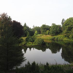 Park Berg & Bos (City and nature park in which Apenheul is located) - Forest pond, 2024-08-18