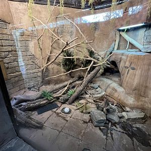 Multispecies Terrarium