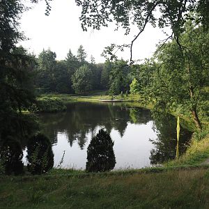 Park Berg & Bos (City and nature park in which Apenheul is located) - Forest pond, 2024-08-18