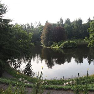 Park Berg & Bos (City and nature park in which Apenheul is located) - Forest pond, 2024-08-18
