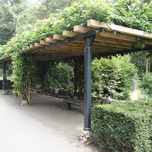 Park Berg & Bos (City and nature park in which Apenheul is located) - Sitting area with vines, 2024-08-18