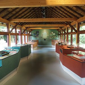 Park Berg & Bos (City and nature park in which Apenheul is located) - Nature education exhibition, 2024-08-18