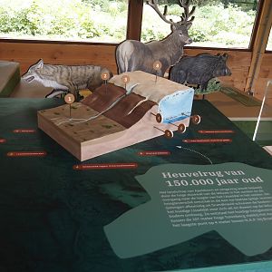 Ice Age geological origins of the Veluwe (Hilly region in which Apeldoorn, Park Berg & Bos and Apenheul are located), 2024-08-18