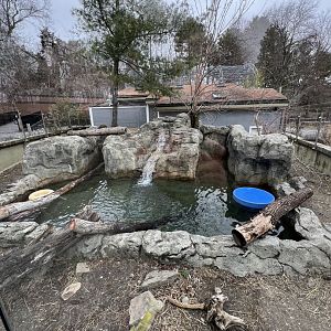 North American River Otter Exhibit
