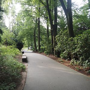 Park Berg & Bos (City and nature park in which Apenheul is located) - Walkway to Apenheul, 2024-08-18