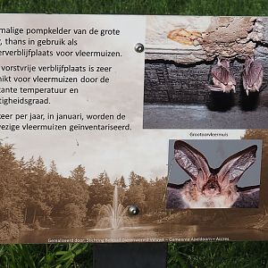 Sign for former pumping cellar now transformed into a bat hibernaculum, 2024-08-18