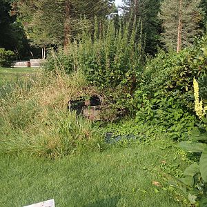 Former pumping cellar now transformed into a bat hibernaculum, 2024-08-18