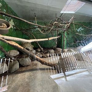 Windows to the Wild Multispecies Exhibit