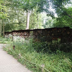 Very long insect wall, 2024-08-18