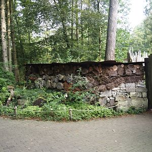 Very long insect wall, 2024-08-18