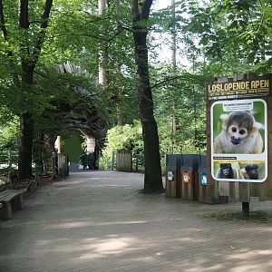 Entrance to the Bolivian squirrel monkey forest, 2024-08-18