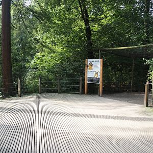 View in the Bolivian squirrel monkey forest, 2024-08-18