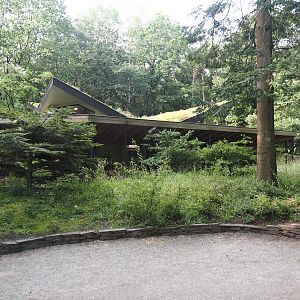View in the Bolivian squirrel monkey forest, with squirrel monkey house in the background, 2024-08-18
