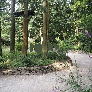 View in the Bolivian squirrel monkey forest, 2024-08-18