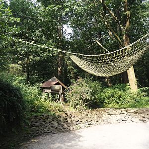 View in the Bolivian squirrel monkey forest, 2024-08-18