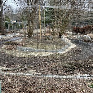 Alfred Huang North American Crane Exhibit