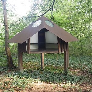 Shelter in the Bolivian squirrel monkey forest, 2024-08-18