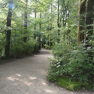 View in the Bolivian squirrel monkey forest, 2024-08-18