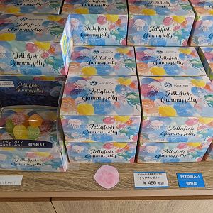 Gift shop - jellyfish gummies