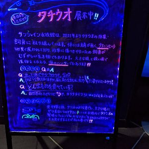 Largehead Hairtail signage