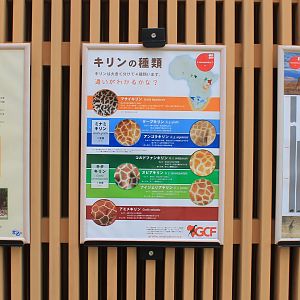 Giraffe signage - Saitama Childrens Zoo