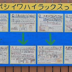 Rock Hyrax signage - Saitama Childrens Zoo