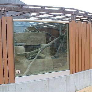 Rock Hyrax enclosure - Saitama Childrens Zoo