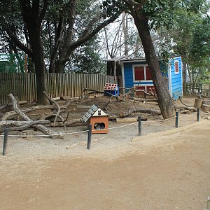 Domestic rabbits - Saitama Childrens Zoo