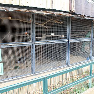 Aviaries  - Saitama Childrens Zoo