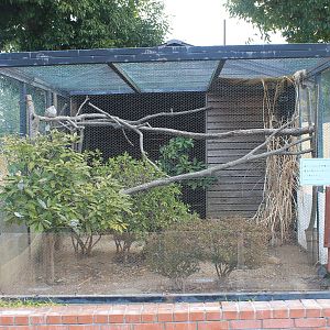 Aviary - Saitama Childrens Zoo