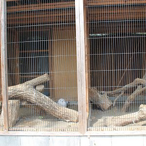 Snowy Owl aviaries - Saitama Childrens Zoo