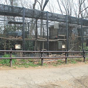 Southern Ground Hornbill aviary - Saitama Childrens Zoo