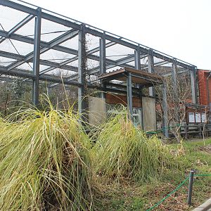 Rhinoceros Hornbill aviary - Saitama Childrens Zoo