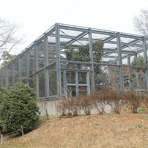 Rhinoceros Hornbill aviary - Saitama Childrens Zoo
