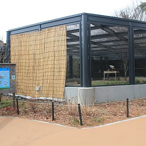 Oriental Stork aviary - Saitama Childrens Zoo