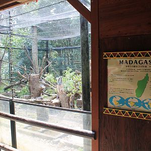 Ring-tailed Lemur enclosure - Saitama Childrens Zoo