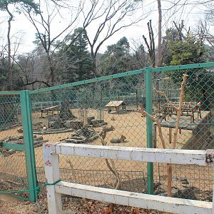 Patagonian Mara enclosure - Saitama Childrens Zoo