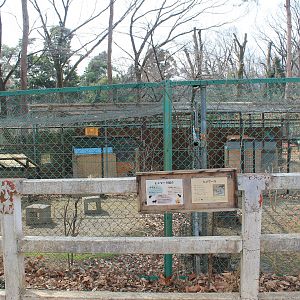 Chacoan Mara enclosure - Saitama Childrens Zoo