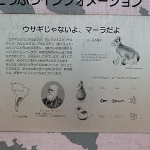 Patagonian Mara signage - Saitama Childrens Zoo