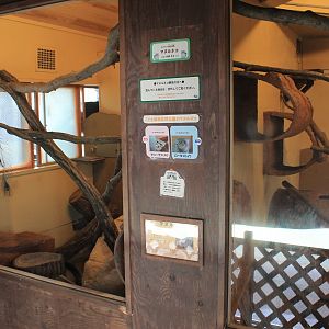 Pallas' Cat indoor enclosure - Saitama Childrens Zoo