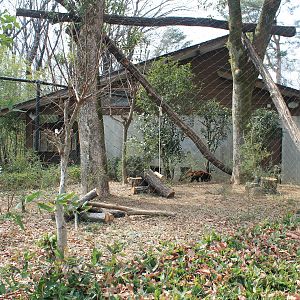 Red Panda enclosure - Saitama Childrens Zoo